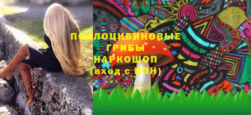 Псилоцибиновые грибы Psilocybe  это формула  Богородск  сколько стоит 